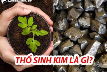 Thổ Sinh Kim: Mối Quan Hệ Tương Sinh Trong Ngũ Hành
