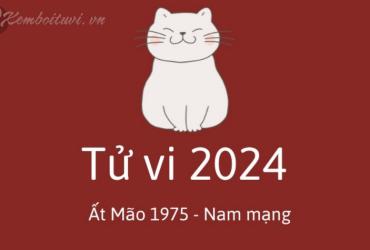 Xem bói tử vi năm Giáp Thìn 2024 nam Ất Mão 1975 - Luận giải chi tiết