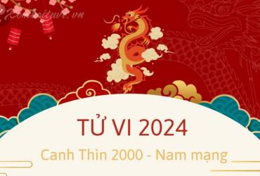 Xem bói tử vi năm Giáp Thìn 2024 nam Canh Thìn 2000 - Luận giải chi tiết