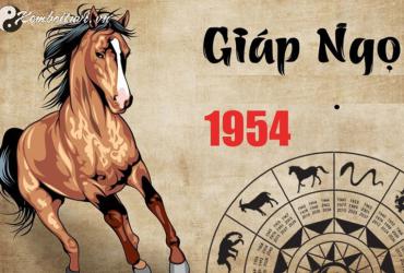 Xem bói tử vi năm Giáp Thìn 2024 nam Giáp Ngọ 1954 - Luận giải chi tiết