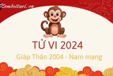 Xem bói tử vi năm Giáp Thìn 2024 nam Giáp Thân 2004 - Luận giải chi tiết