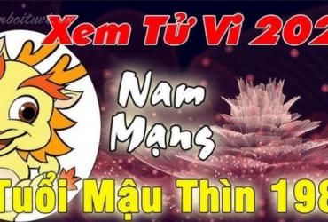 Xem bói tử vi năm Giáp Thìn 2024 nam Mậu Thìn 1988 - Luận giải chi tiết
