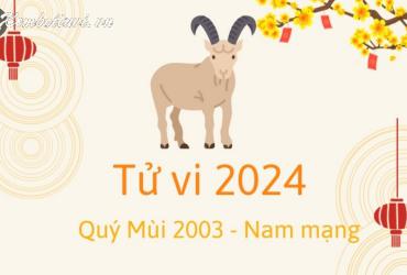 Xem bói tử vi năm Giáp Thìn 2024 nam Quý Mùi 2003 - Luận giải chi tiết