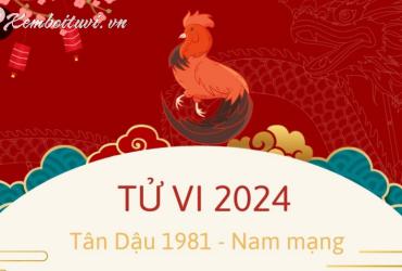 Xem bói tử vi năm Giáp Thìn 2024 nam Tân Dậu 1981 - Luận giải chi tiết