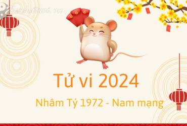 Xem bói tử vi năm Giáp Thìn 2024 nam Nhâm Tý 1972 - Luận giải chi tiết