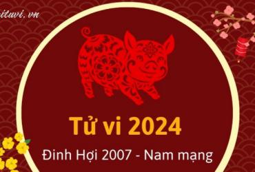 Xem bói tử vi năm Giáp Thìn 2024 nam Đinh Hợi 2007 - Luận giải chi tiết