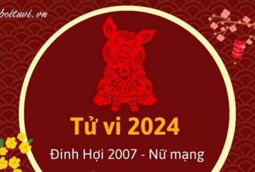 Xem bói tử vi năm Giáp Thìn 2024 nữ Đinh Hợi 2007 - Luận giải chi tiết