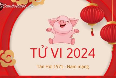 Xem bói tử vi năm Giáp Thìn 2024 nam Tân Hợi 1971 - Luận giải chi tiết