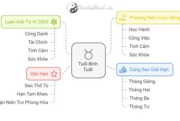 Tử vi Bính Tuất 2025 nam mạng