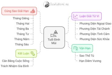 Tử vi Đinh Mùi 2025 nữ mạng