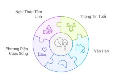 Tử vi Kỷ Hợi 2025 nữ mạng