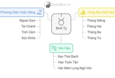 Tử vi Đinh Tỵ 2025 nam mạng
