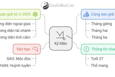 Tử vi Kỷ Mão 2025 nam mạng
