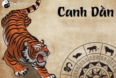 Tuổi Xông Đất Cho Gia Chủ Sinh Năm 1950 - Bí Quyết Đón Lộc Đầu Xuân