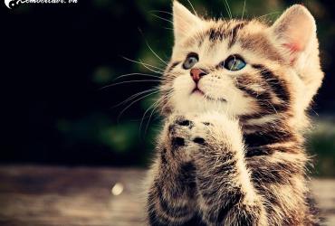 Tuổi Xông Đất Cho Gia Chủ Sinh Năm 1951 - Bí Quyết Chọn Người Mở Hàng Đầu Năm