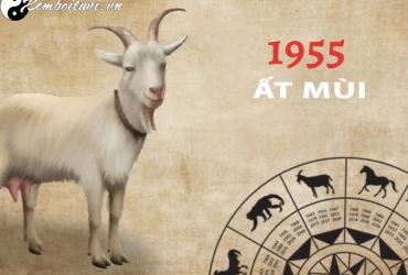 Tuổi Xông Đất Hợp Mệnh Cho Gia Chủ Sinh Năm 1955