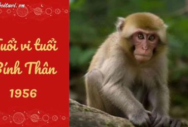 Tuổi Xông Đất Phù Hợp Nhất Cho Gia Chủ Sinh Năm 1956