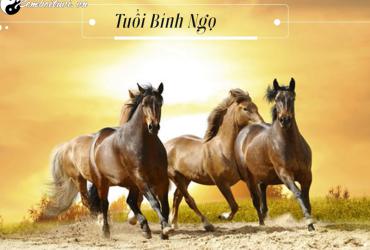 Tuổi Xông Đất Hợp Mệnh Với Gia Chủ Sinh Năm 1966: Bí Quyết Chọn Người Mở Hàng Đầu Năm