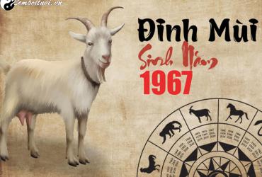 Tuổi Xông Đất Cho Gia Chủ Sinh Năm 1967 - Bí Quyết Đón Lộc Đầu Năm