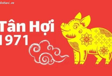 Tuổi Xông Đất Hợp Mệnh Cho Gia Chủ Sinh Năm 1971 - Bí Quyết Đón Năm Mới Thịnh Vượng