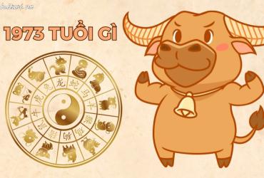 Tuổi Xông Đất Cho Gia Chủ Sinh Năm 1973 - Chọn Người Mang Lộc Tài Về Nhà