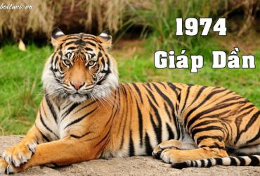 Tuổi Xông Đất Cho Gia Chủ Sinh Năm 1974: Bí Quyết Chọn Người Mang Lộc Đầu Năm