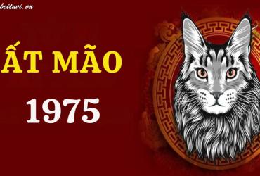 Tuổi Xông Đất Cho Gia Chủ Sinh Năm 1975 - Bí Quyết Chọn Người Mang Lộc Vào Nhà