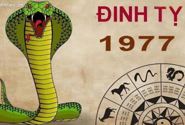 Tuổi Xông Đất Cho Gia Chủ Sinh Năm 1977: Chọn Người Mang Lộc Phú Quý Vào Nhà