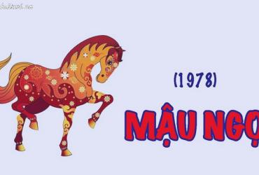 Tuổi Xông Đất Hợp Mệnh Cho Gia Chủ Sinh Năm 1978 - Bí Quyết Đón Tài Lộc Đầu Xuân