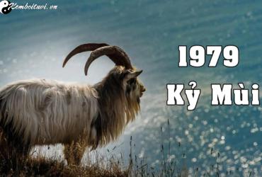 Tuổi Xông Đất Tốt Nhất Cho Người Sinh Năm 1979 Kỷ Mùi