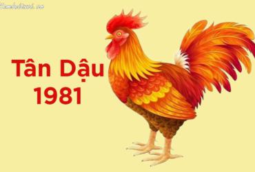 Tuổi Xông Đất Cho Gia Chủ Sinh Năm 1981: Lựa Chọn Đúng Người Mang Lại May Mắn Trọn Vẹn