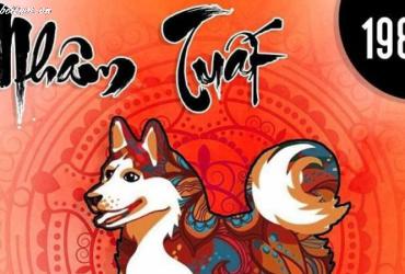 Tuổi Xông Đất Cho Gia Chủ Sinh Năm 1982 - Bí Quyết Đón Lộc Đầu Năm Viên Mãn