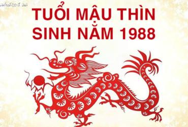 Lựa Chọn Tuổi Xông Đất Hợp Mệnh Cho Người Sinh Năm 1988