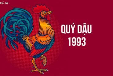 Tuổi Xông Đất Cho Gia Chủ Sinh Năm 1993 - Chọn Người Mang Lại May Mắn