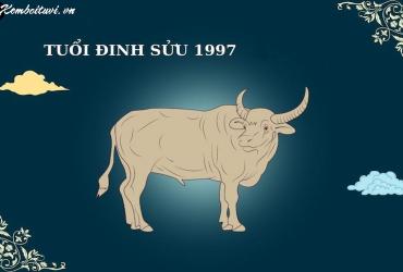 Bí Quyết Chọn Tuổi Xông Đất Hợp Mệnh Cho Gia Chủ Sinh Năm 1997