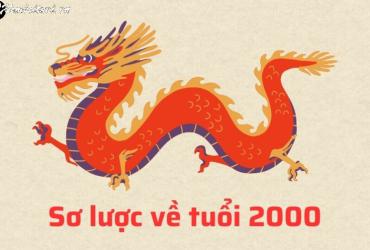 Tuổi Xông Đất Mang Lộc Tài Cho Gia Chủ Sinh Năm 2000