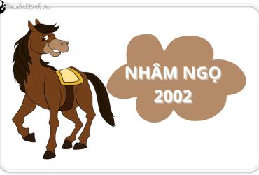 Tuổi Xông Đất Hợp Với Gia Chủ Sinh Năm 2002 - Bí Quyết Đón Vận May Đầu Năm