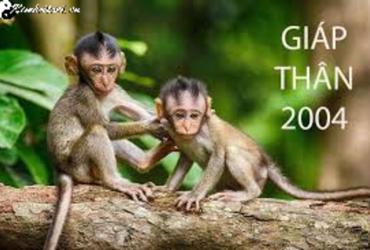 Tuổi Xông Đất Phù Hợp Nhất Cho Gia Chủ Sinh Năm 2004