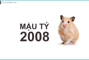 Tuổi Xông Đất Hợp Mệnh Cho Gia Chủ Sinh Năm 2008 – Đón Lộc Đầu Xuân Hanh Thông