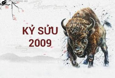 Chọn Tuổi Xông Đất Hợp Phong Thủy Cho Gia Chủ Sinh Năm 2009