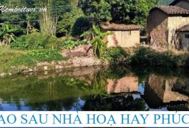 Bí Ẩn Ao Sau Nhà: Mang Lại Tài Lộc Hay Rước Họa