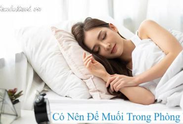 Bất Ngờ Với Tác Dụng Của Muối Trong Phòng Ngủ – Bí Quyết Thanh Lọc Năng Lượng Và Cải Thiện Giấc Ngủ