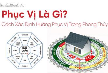 Hướng Phục Vị: Bí Mật Phong Thủy Giúp Gia Chủ Ổn Định Tài Lộc và Vận Mệnh!