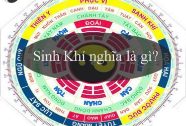 Bí Mật Hướng Sinh Khí: Chọn Sai, Mất Tài Lộc – Chọn Đúng, Đổi Đời!