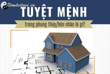 Hướng Tuyệt Mệnh: Bí Ẩn Phong Thủy Khiến Gia Chủ Lụi Bại – Bạn Đã Biết Cách Hóa Giải?