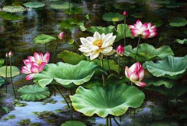 7 Bí Mật Đặt Tranh Hoa Sen Giúp Lộc Vào Nhà Ùn Ùn Mà Ít Người Biết