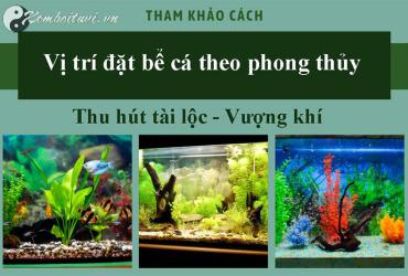 Vị Trí Đặt Bể Cá Hợp Phong Thủy: Sai Một Ly, Mất Cả Tài Lộc!