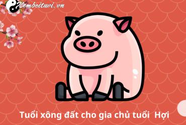 Xông Đất Gia Chủ Tuổi Hợi - Bí Quyết Đón Lộc Đầu Xuân Viên Mãn