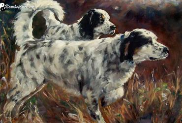 Xông Đất Gia Chủ Tuổi Tuất: Bí Quyết Thu Hút Tài Lộc Và May Mắn Đầu Năm