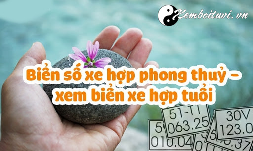 Bí Mật Chọn Biển Số Xe Phong Thủy Mang Lại Tài Lộc, May Mắn